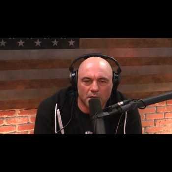 Joe Rogan Dana White Told Me Mayweather Wants to Make A Deal For UFC Match