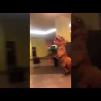 Nick Diaz Encounters a Man Riding a Dinosaur Being Chased by a Dinosaur and a Sumo Wrestler