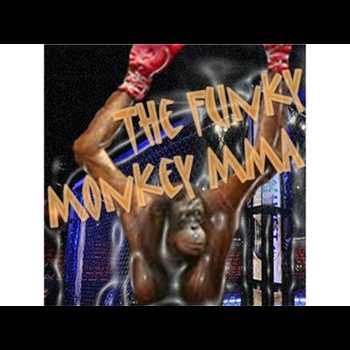 Steven Artoff Interview w Funky Monkey MMA Radio