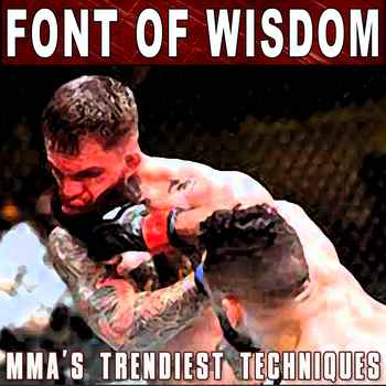 370 Font of Wisdom MMA Technique Trends