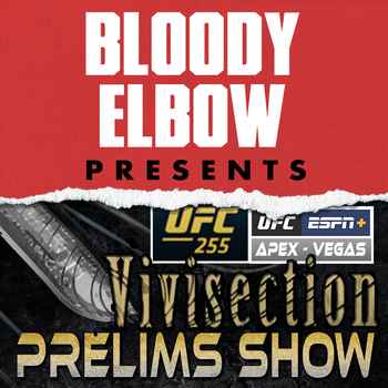 UFC 255 Figueiredo vs Perez Shevchenko v