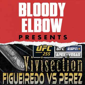 UFC 255 FIGUEIREDO VS PEREZ SHEVCHENKO V
