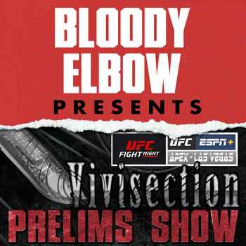 UFC VEGAS 19 Blaydes vs Lewis Picks Odds