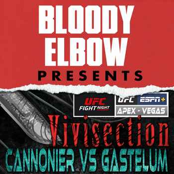 UFC VEGAS 34 CANNONIER VS GASTELUM Picks