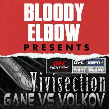 UFC VEGAS 30 GANE VS VOLKOV Picks Odds A