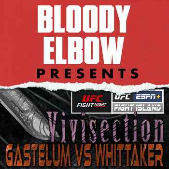 UFC VEGAS 24 GASTELUM VS WHITTAKER Picks