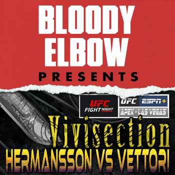 UFC VEGAS 16 HERMANSSON VS VETTORI Picks