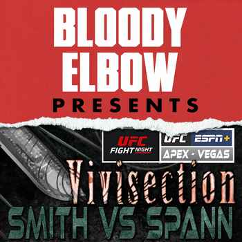 UFC VEGAS 37 SMITH VS SPANN Picks Odds A