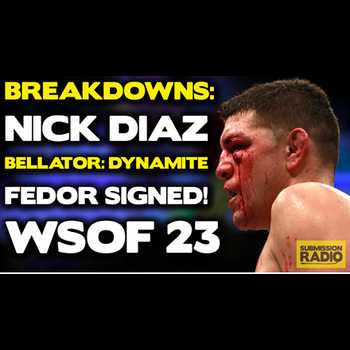 BREAKDOWN SPECIAL Bellator Dynamite 1 WS