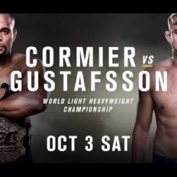 UFC 192 Conference call