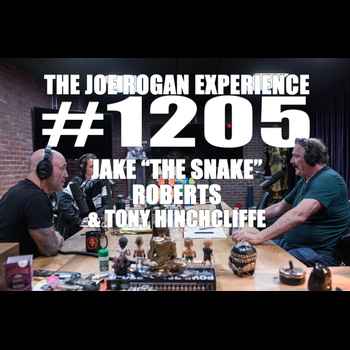 1205 Jake The Snake Roberts Tony Hinchcl