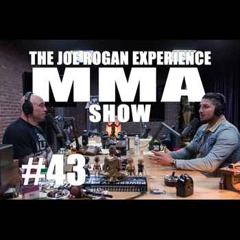 JRE MMA Show 43 with Brendan Schaub