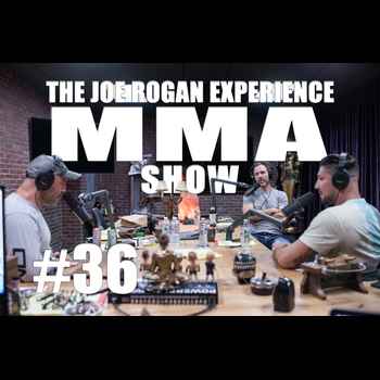 JRE MMA Show 36 with Brendan Schaub Brya