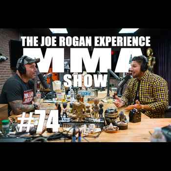 JRE MMA Show 74 with Brendan Schaub