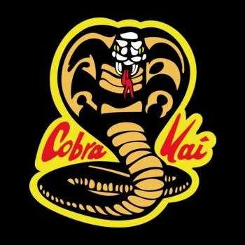 Judo Chop Suey Podcast Ep 32 World Championships Predictions Cadet World Chapionships Cobra Kai