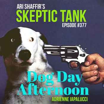 377 Dog Day Afternoon Iapalucci