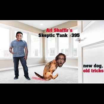 395 New Dog Old Tricks Justin Silver Dog