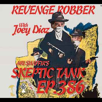 386 The Revenge Robber MadFlavor