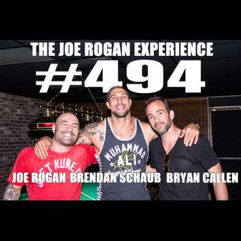 494 Brendan Schaub Bryan Callen