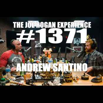 1371 Andrew Santino