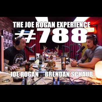 788 Brendan Schaub