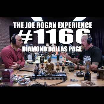 1166 Diamond Dallas Page