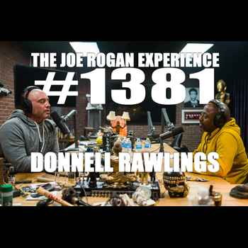 1381 Donnell Rawlings