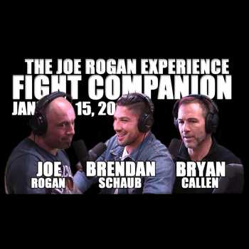 Fight Companion January 15 2017
