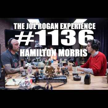 1135 Hamilton Morris