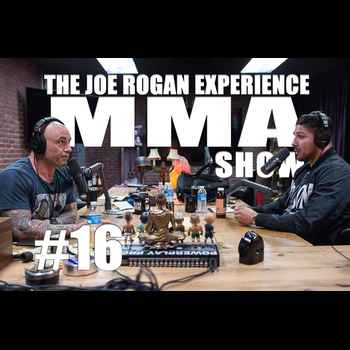 JRE MMA Show 16 with Brendan Schaub