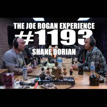 1193 Shane Dorian