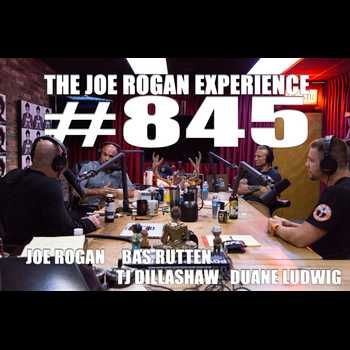 845 TJ Dillashaw Duane Ludwig Bas Rutten