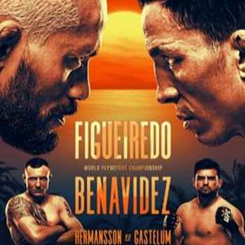 331 UFC Fight Island 2 Figueiredo VS Ben