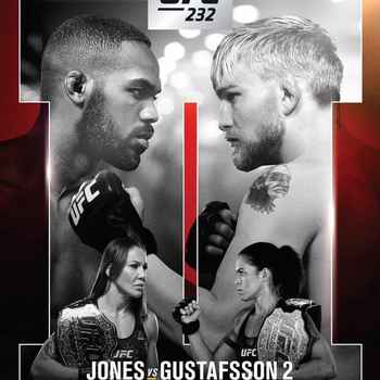 254 UFC 232 Jones vs Gustafsson 2 Editio