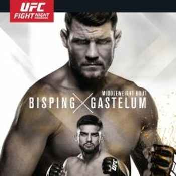 191 UFC Shanghai Bisping vs Gastelum Edi