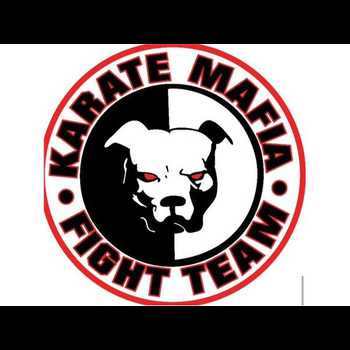 MMA Destruction Roundtable with the Karate Mafia