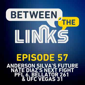 Between the Links Anderson Silvas Boxing