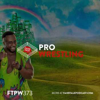 FTPW373 WWE Money in the Bank 2017 Revie