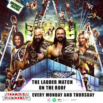 The Ladder Match on the Roof Notsam Wres