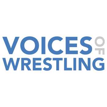 Open The Voice Gate Dragongate Osaka Tokyo Review All Out