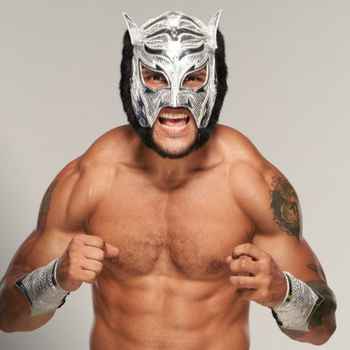 Everything Is Lucha Lince Dorado Details