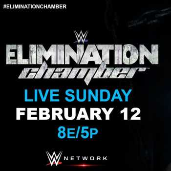 Wrestling 2 the MAX WWE Elimination Cham