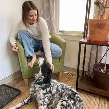  The Healing Power of Dogs with Erin Jorich