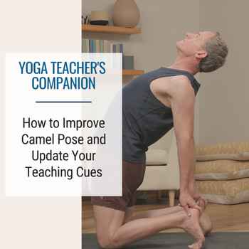  Yoga Teachers Companion 41 How to Improve Camel Pose And Update Your Teaching Cues Yo